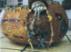 quail_bowl_front.JPG (59185 bytes)
